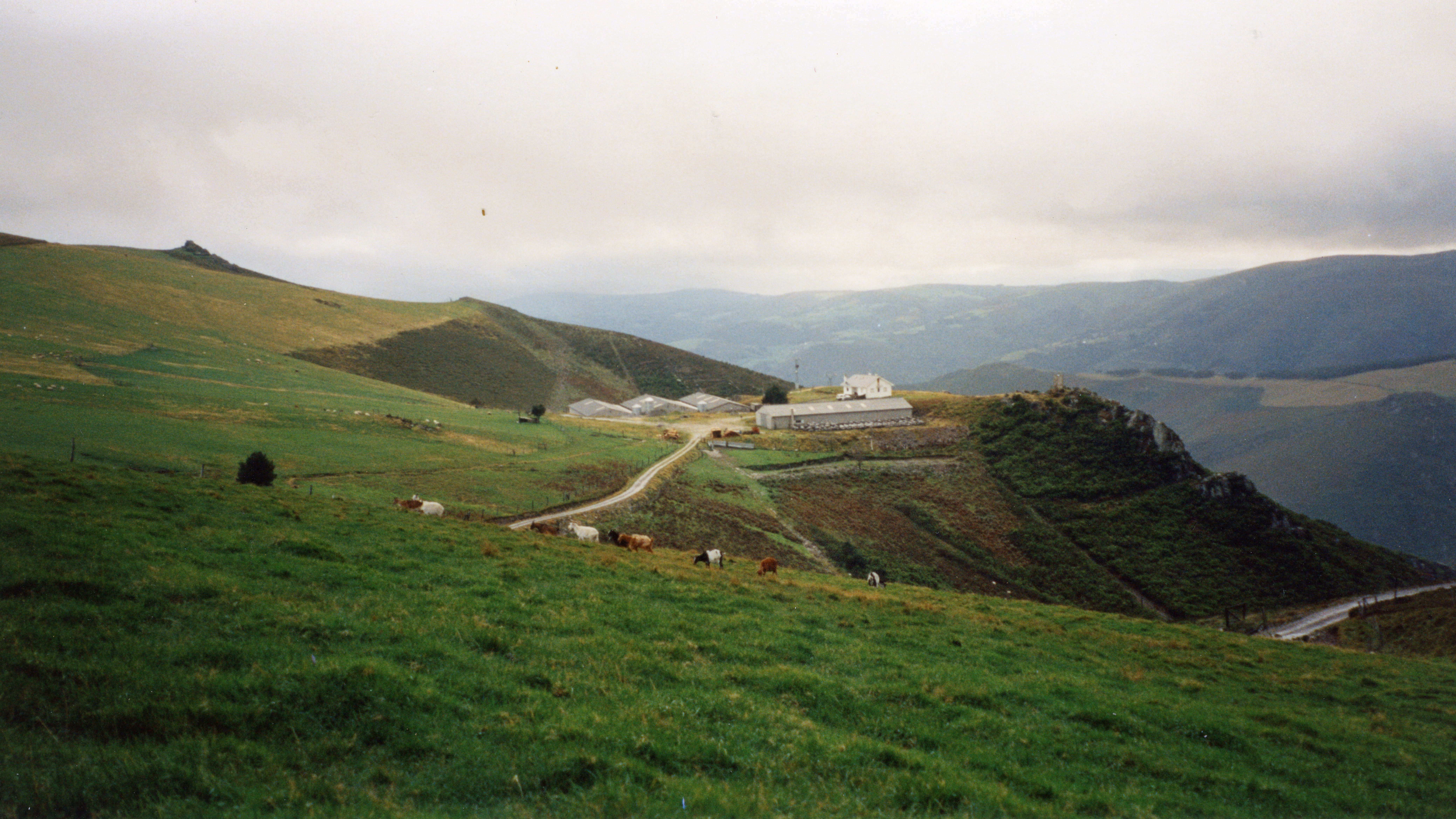 Estación Experimental de El Carbayal, en Illano.