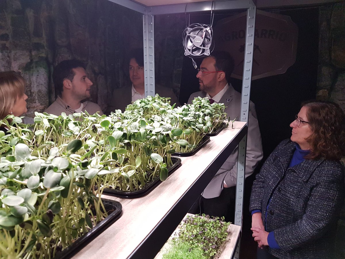 El presidente del Gobierno del Principado de Asturias, Adrián Barbón, visita junto con la delegada del Gobierno, Delia Losa y el consejero de Ciencia, Empresas, Formación y Empleo, Borja Sánchez, el estand del SERIDA. Les acompañan el personal de Cantábrica Agricultura Urbana (izquierda) y Mamen Oliván, Directora gerente del SERIDA (derecha).