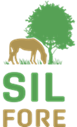 LIFE SILFORE: hacia la conservación y gestión de los sistemas agroforestales resilientes mediante el silvopastoralismo.