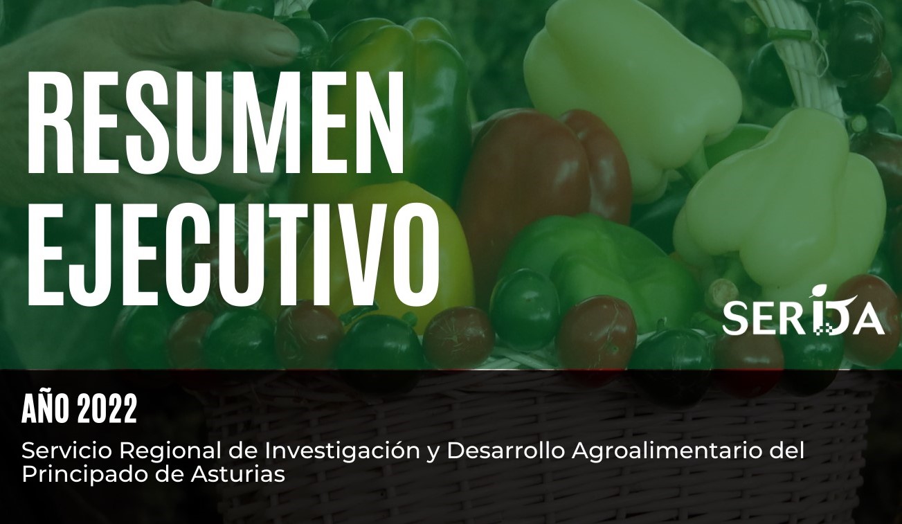 Resumen ejecutivo del SERIDA